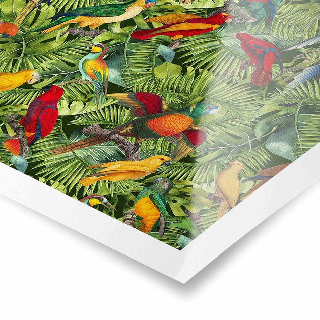 Poster - Colorato collage - Parrot In The Jungle - Quadrato 1:1