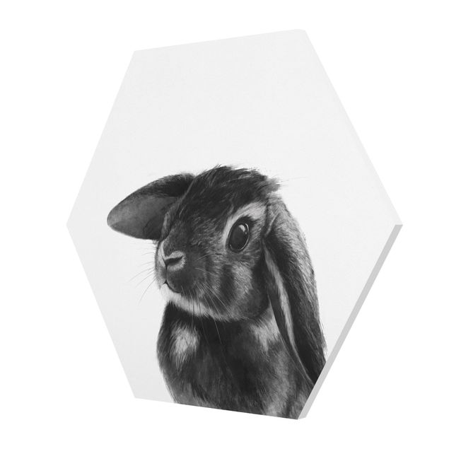 Esagono in forex - Illustrazione Coniglio bianco e nero Disegno