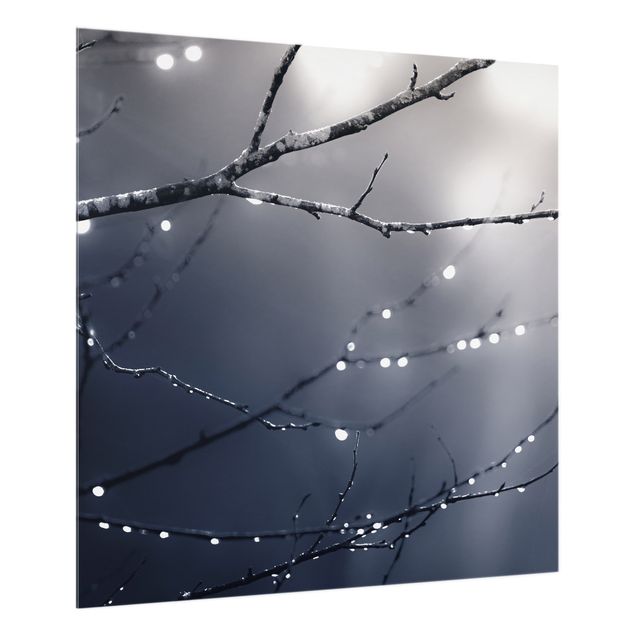 Paraschizzi in vetro - Gocce di luce su ramo di betulla - Quadrato 1:1
