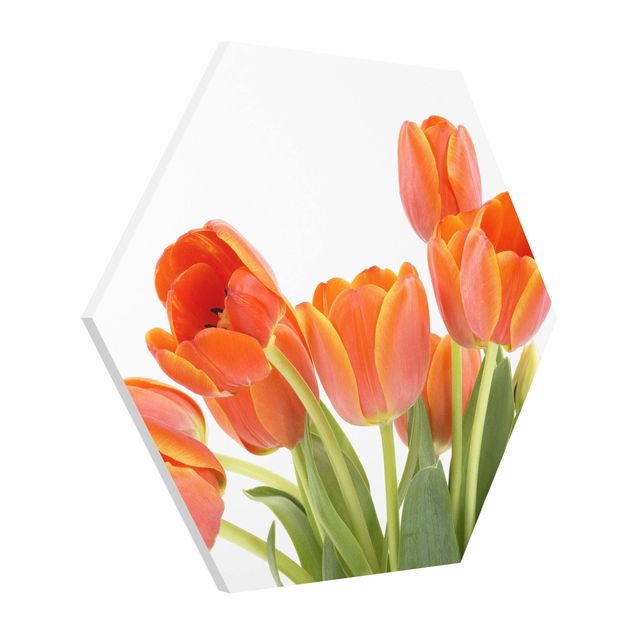 Esagono in forex - No.191 Tulipani