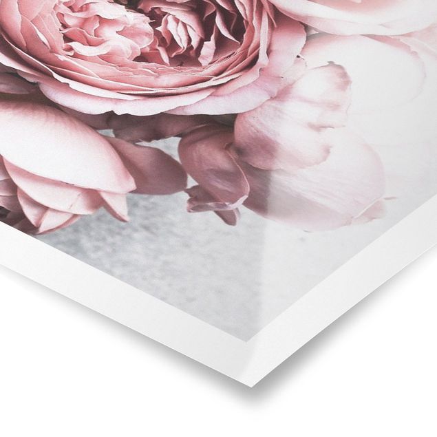 Poster - Pink Peony fiori pastello misera - Verticale 3:2
