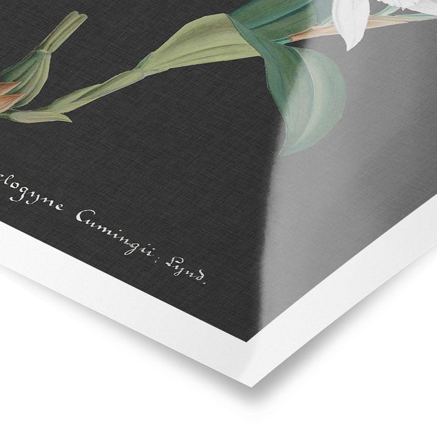 Poster - White Orchid su lino II - Verticale 3:2