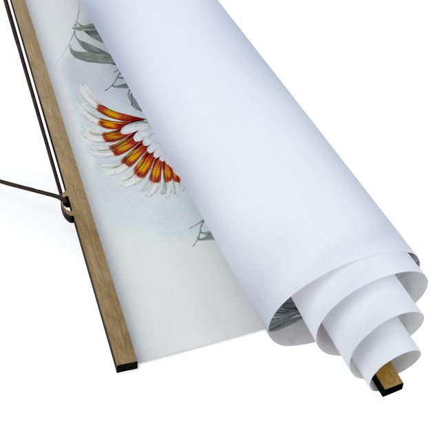 Quadro su tessuto con stecche per poster - Pastel Pappagalli I - Quadrato 1:1