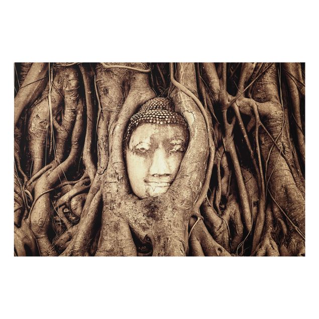 Paraschizzi in vetro - Buddha In Ayutthaya From Tree Roots Lined In Brown