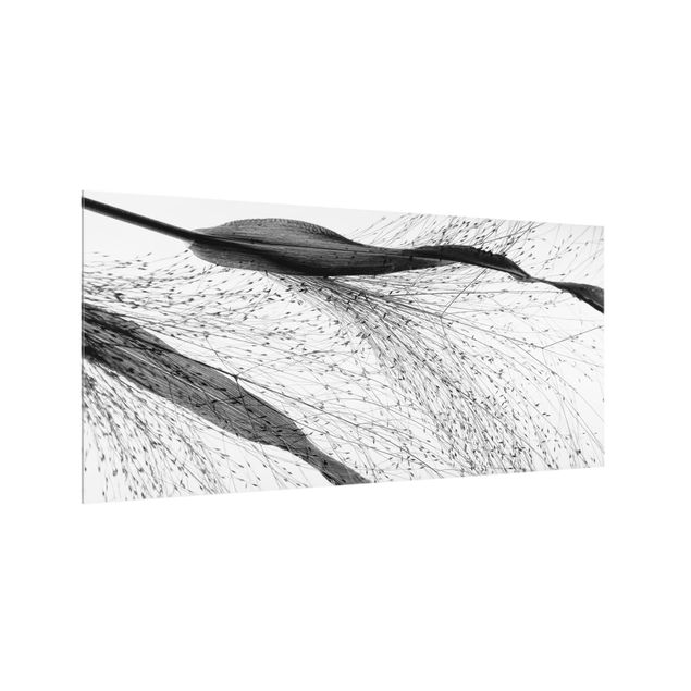 Paraschizzi in vetro - Canneto delicato con sottili gemme in bianco e nero - Formato orizzontale 2:1