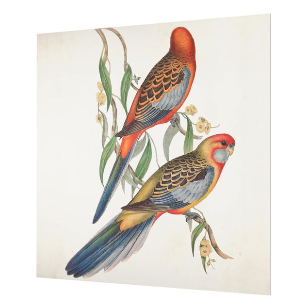 Paraschizzi in vetro - Tropical Parrot II