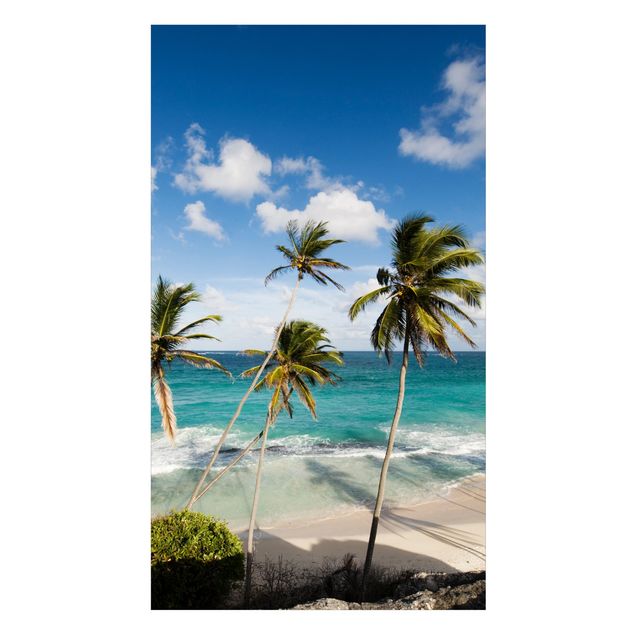 Rivestimento per doccia - Beach of Barbados