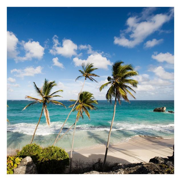 Carta da parati - Beach of Barbados