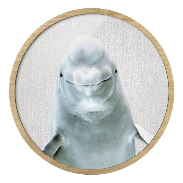 Quadro rotondo incorniciato - Balena beluga Bob
