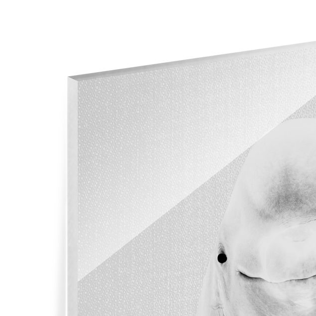 Quadro in vetro - Beluga Bob in bianco e nero