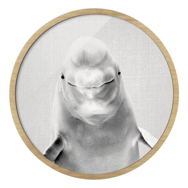 Quadro rotondo incorniciato - Beluga Bob in bianco e nero