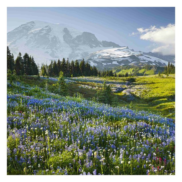 Carta da parati - Prato di montagna con fiori blu davanti al monte Rainier