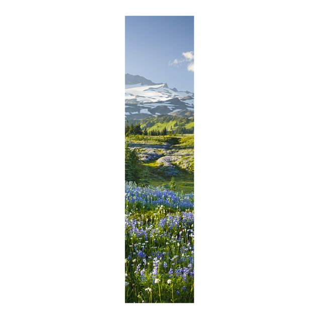 set tende a pannello Prato di montagna con fiori blu davanti al monte Rainier
