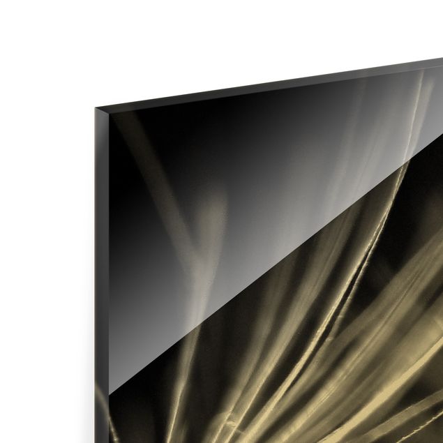 Quadro in vetro - Primo piano di soffioni in movimento su sfondo nero - 3 parti