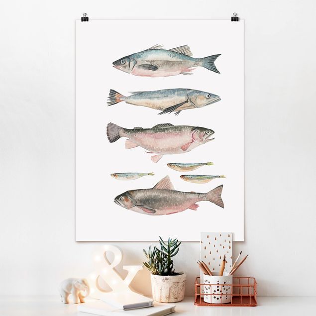 stampe animali Sette pesci in acquerello I