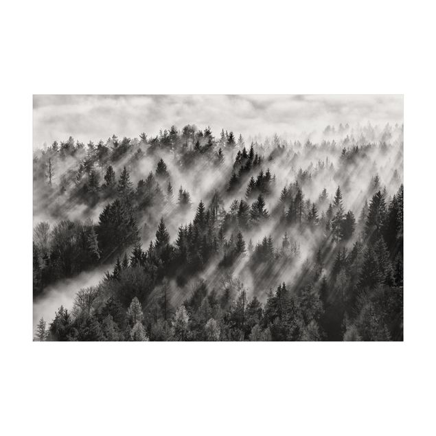 Tappeto bianco e nero moderno Raggi di luce nella foresta di conifere