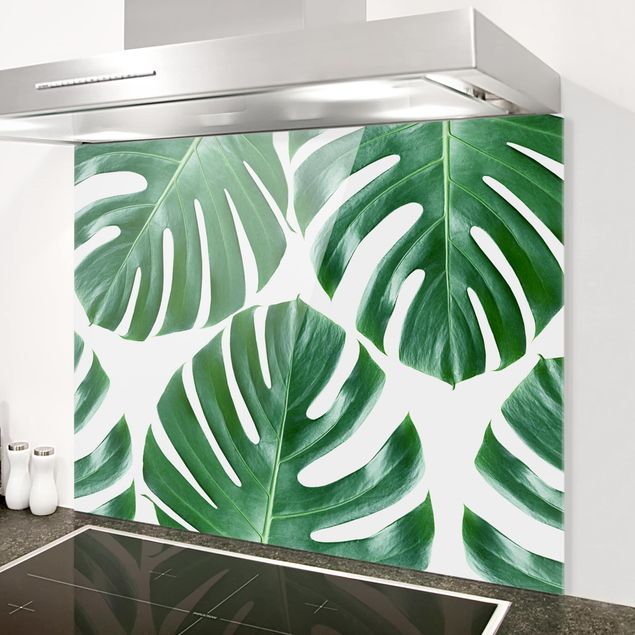 paraschizzi cucina vetro magnetico Monstera a foglie verdi tropicali