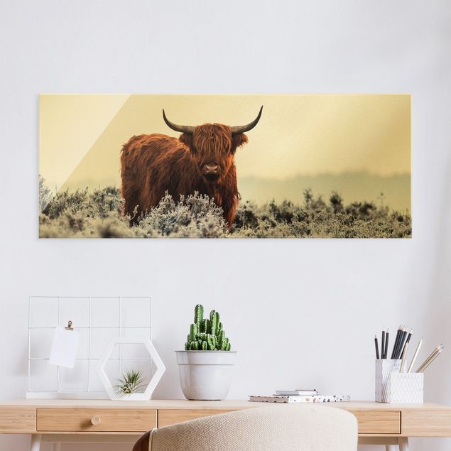 quadri con animali Bisonte nelle Highlands