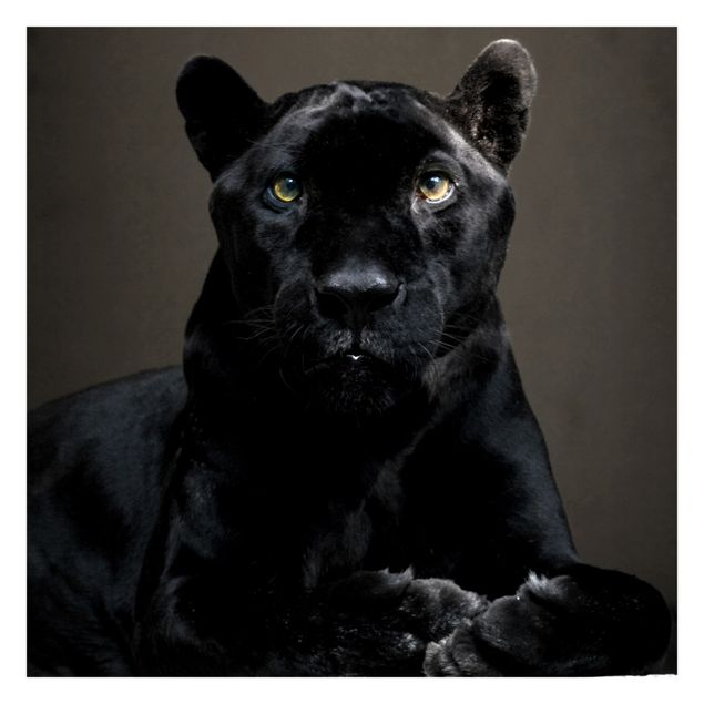 Carta da parati - Black Puma