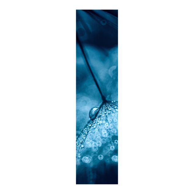 Set tende a pannello Soffione blu sotto la pioggia