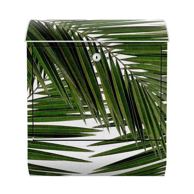 Cassetta postale - Scorcio tra foglie di palme verdi