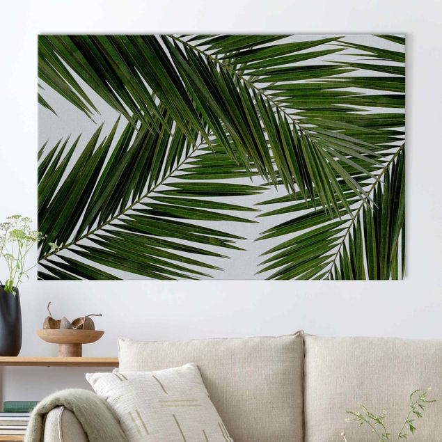 Quadri fonoassorbenti Scorcio tra foglie di palme verdi