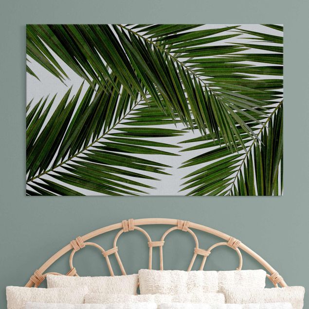 Quadro fonoassorbente - Scorcio tra foglie di palme verdi
