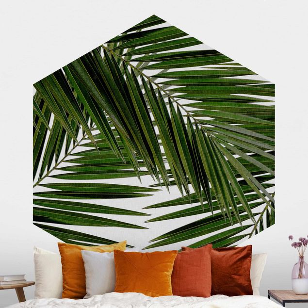 Carta da parati esagonale Vista attraverso le foglie di palma verde