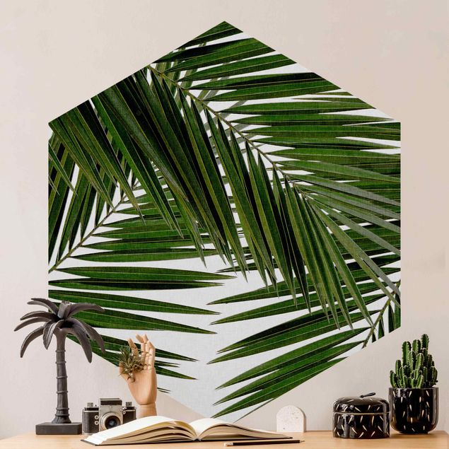 carta da parati per centri estetici Vista attraverso le foglie di palma verde