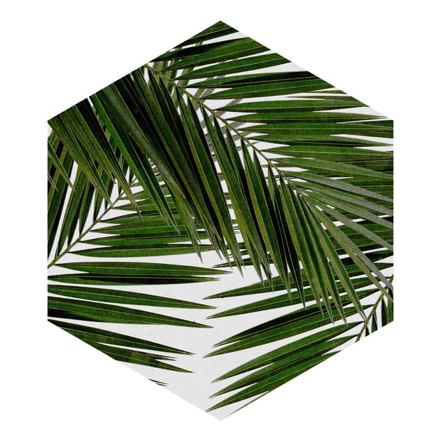 Carta da parati esagonale adesiva con disegni - Scorcio tra foglie di palme verdi