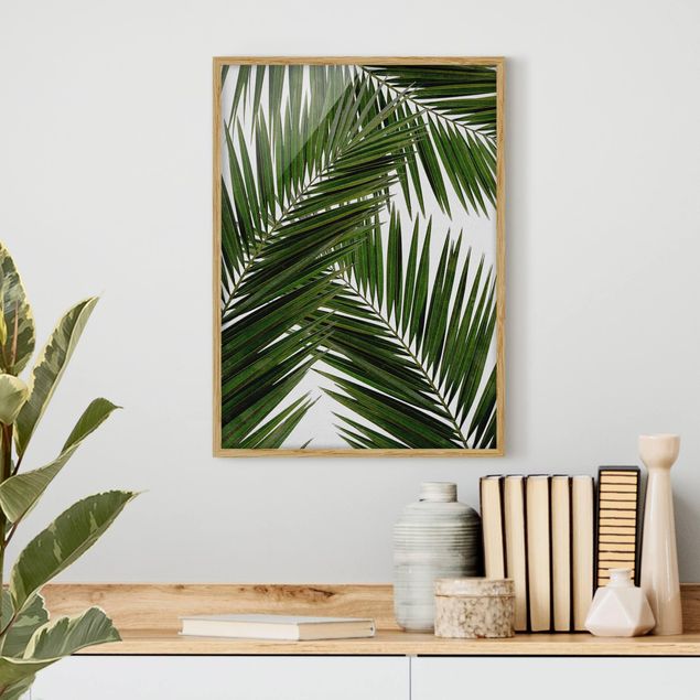 Poster con cornice - Scorcio tra foglie di palme verdi