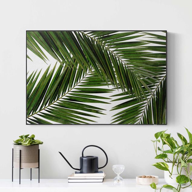 Quadri fonoassorbenti con frame da parete con tessuto in tensione Scorcio tra foglie di palme verdi
