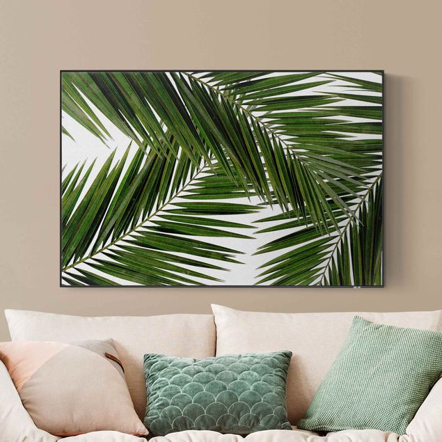 Quadro fonoassorbente intercambiabile - Scorcio tra foglie di palme verdi