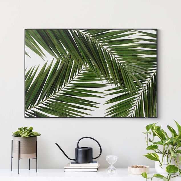 Frame da parete con tessuto in tensione con quadro intercambiabile classico Scorcio tra foglie di palme verdi