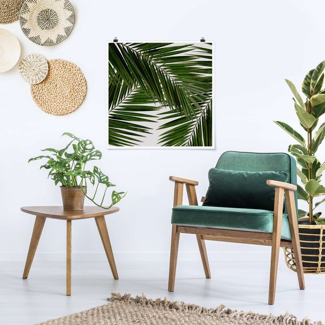 Poster - Scorcio tra foglie di palme verdi