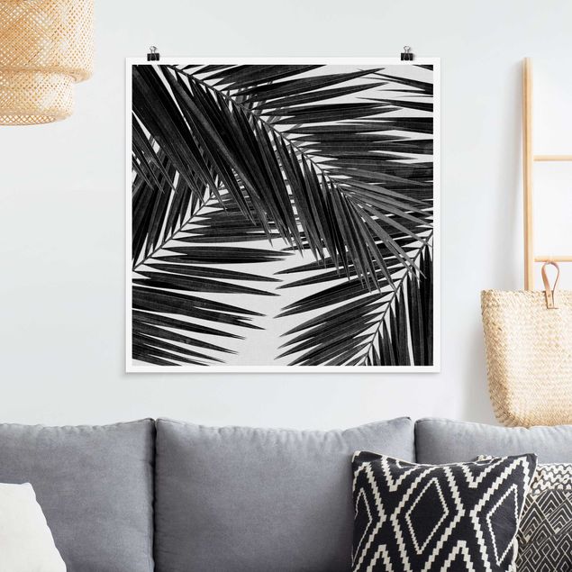 Poster illustrazioni Vista sulle foglie di palma in bianco e nero