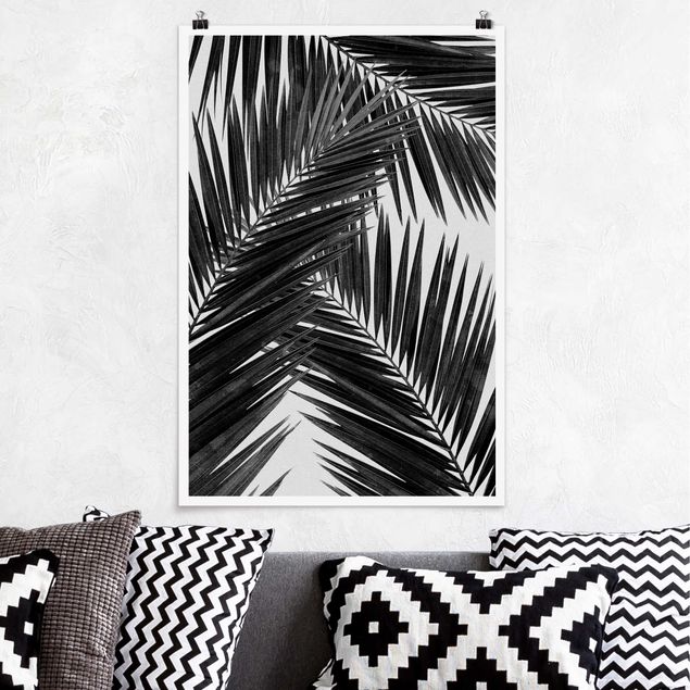 Poster illustrazioni Vista sulle foglie di palma in bianco e nero