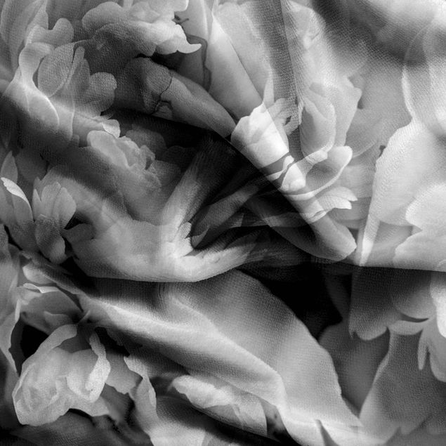 Tende moderno Peonie in fiore bianco e nero