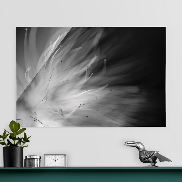 Lavagna magnetica vetro Polline in bianco e nero