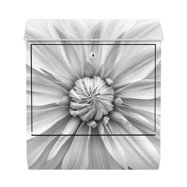 Cassetta postale - Fiori botanici in bianco