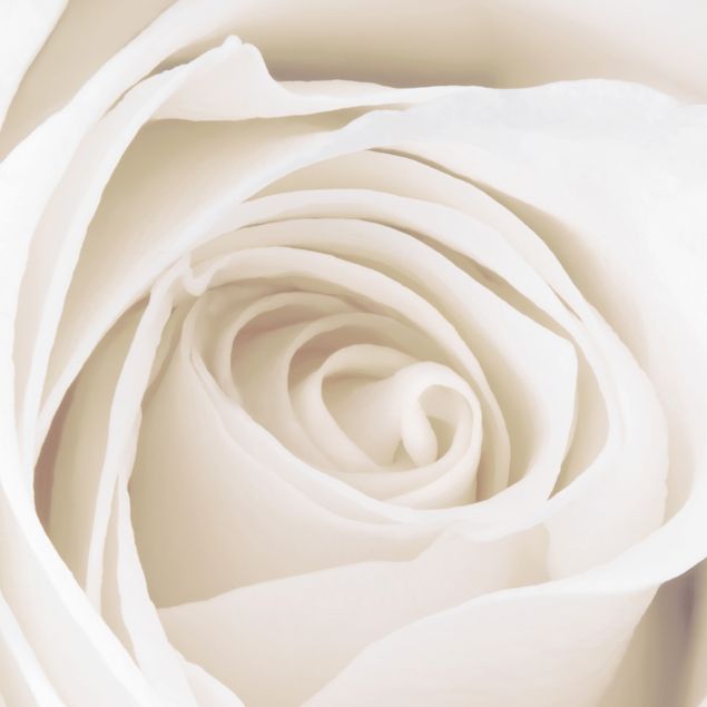 Cassetta postale Pretty White Rose 39x46x13cm