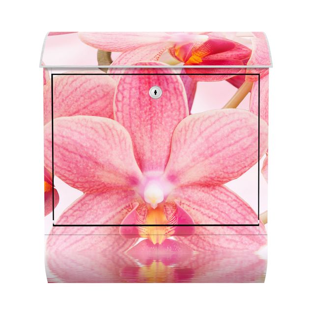 Cassetta postale Pink orchids on water 39x46x13cm