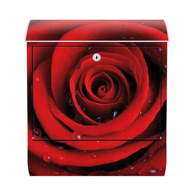 Cassetta postale Red rose with water drops 39x46x13cm