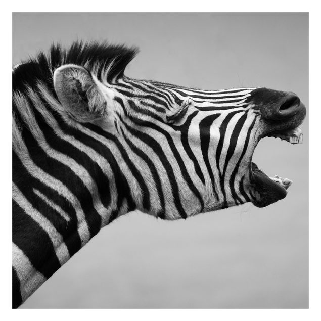 Carta da parati - Rawling Zebra II