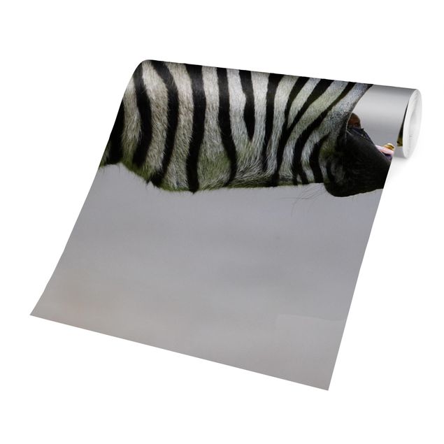 Carta da parati - Rawling Zebra
