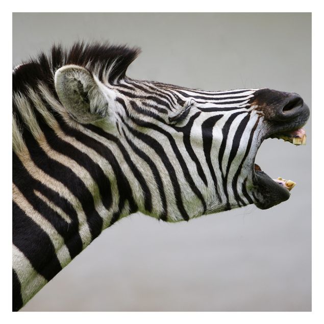 Carta da parati - Rawling Zebra