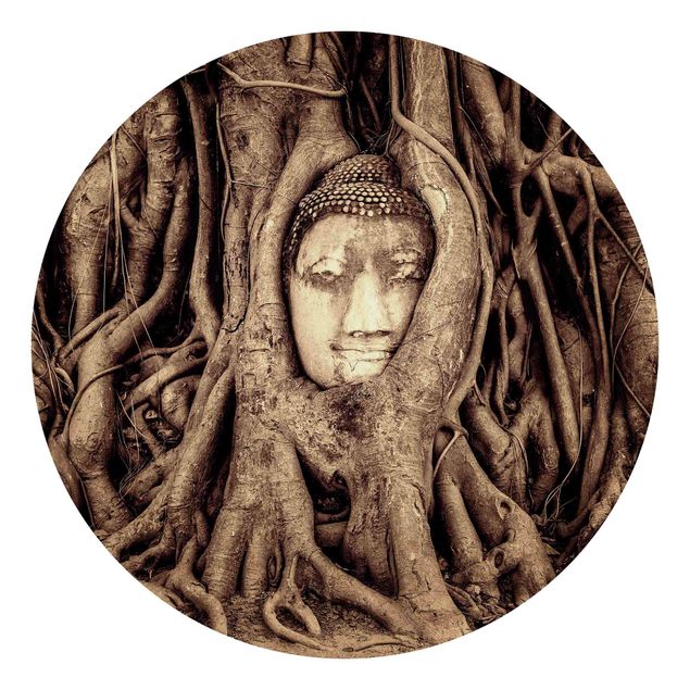 Carta da parati rotonda autoadesiva - Buddha in Ayutthaya dalle radici degli alberi allineati in marrone