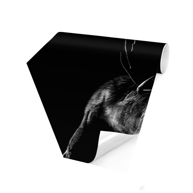 Carta da parati esagonale adesiva con disegni - Alce toro su sfondo nero
