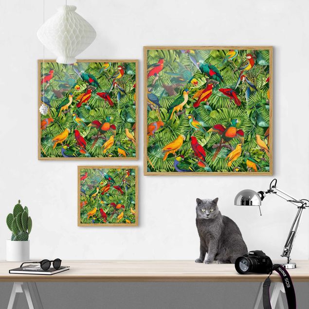 Poster con cornice - Collage colorato - Pappagalli nella giungla