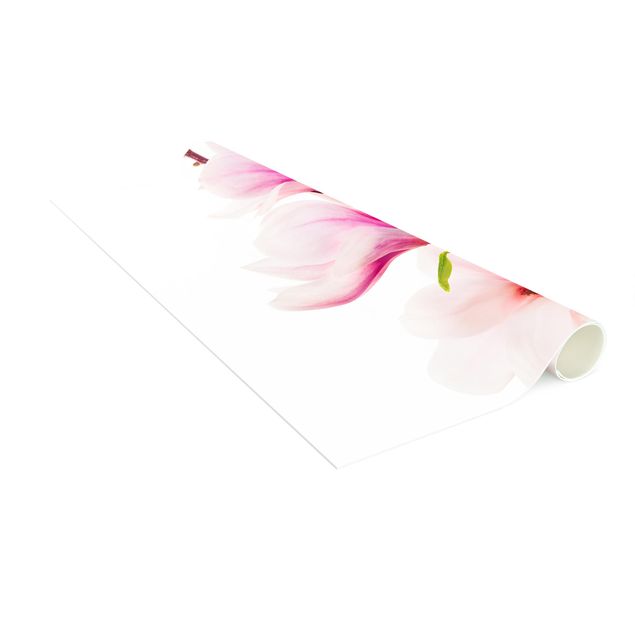 Tappeti floreali Delicato ramo di magnolia
